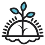 Redefined Counseling